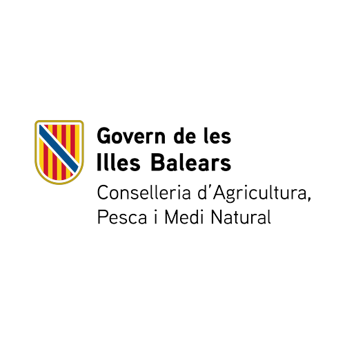 10-govern-balears